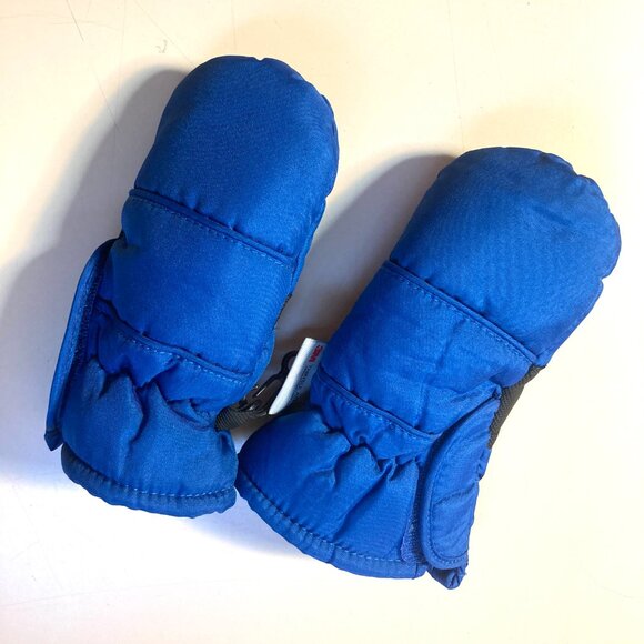 Blue Thinsulate Mittens - Picture 2 of 3